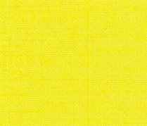 UAmarillo