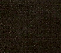 UNegro